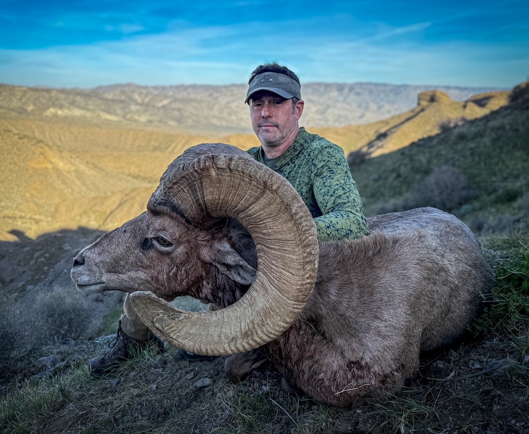 Alt Text is good for SEO